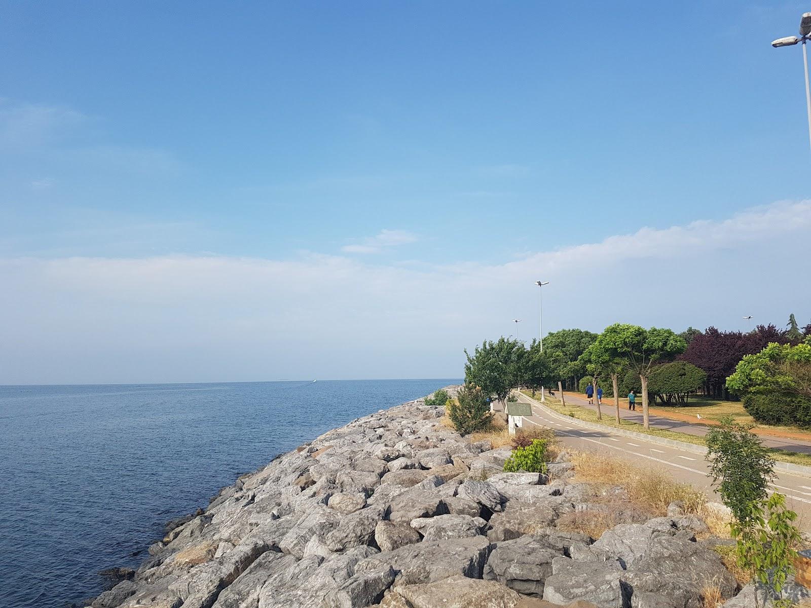Sandee Tuzla Sahil Parki