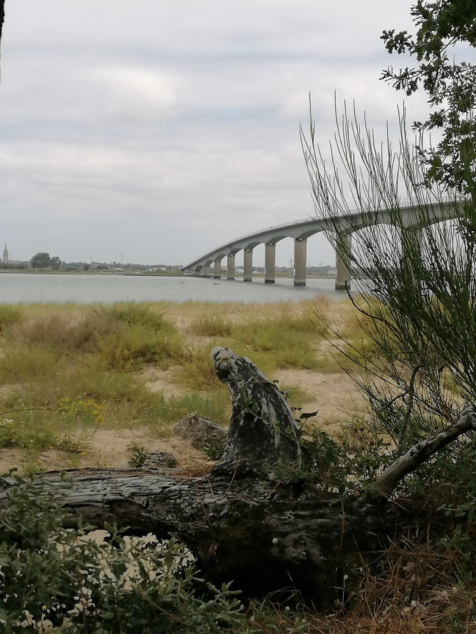 Sandee Plage De La Muse Du Loup , Golfe-De-Gascogne Photo