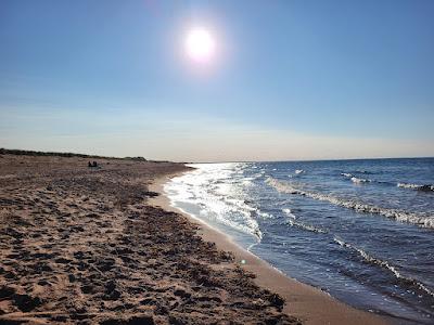 Sandee - Aboiteau Beach