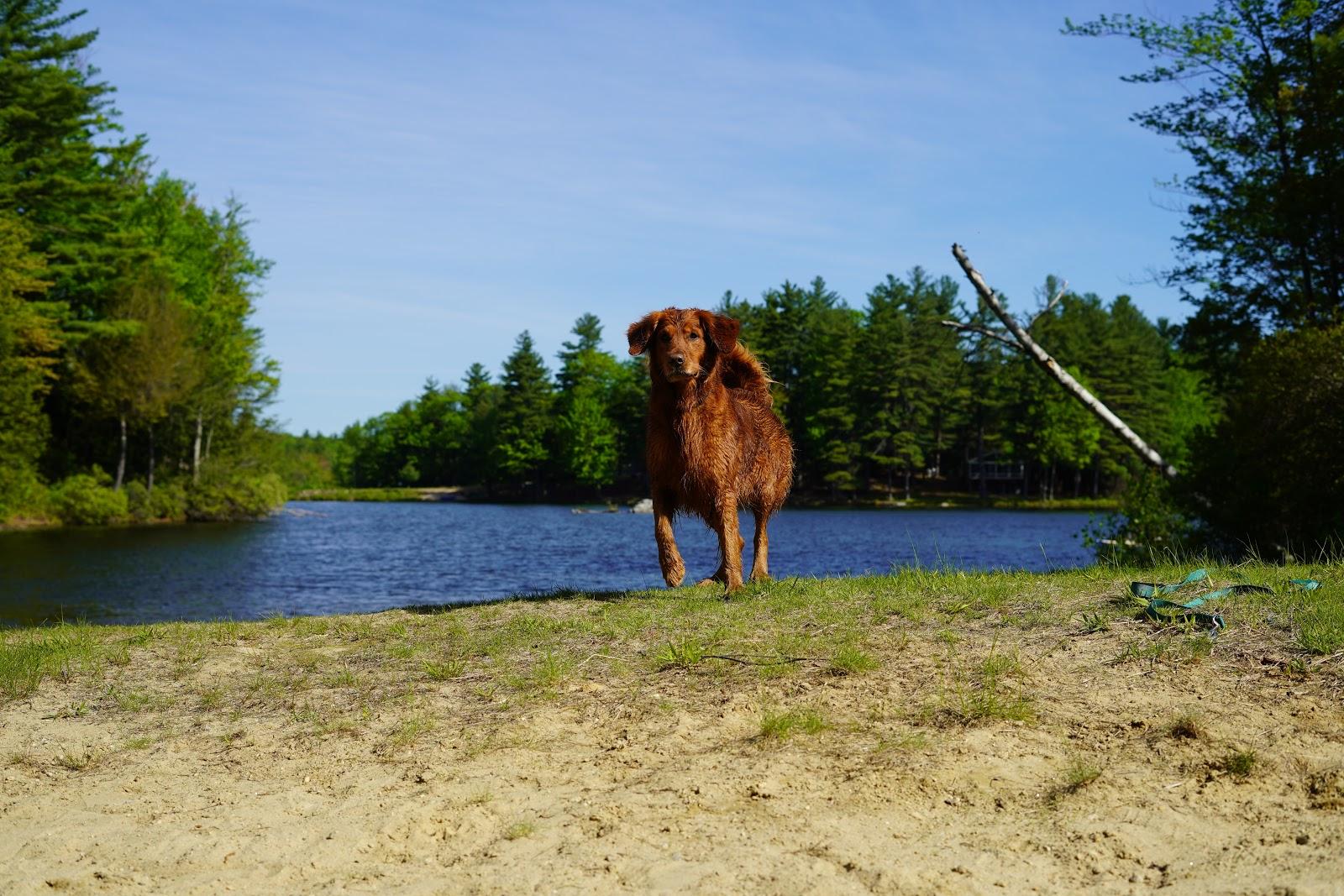 Sandee - Uncanoonuc Lake Public Beach