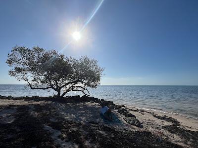 Sandee - Long Key State Park