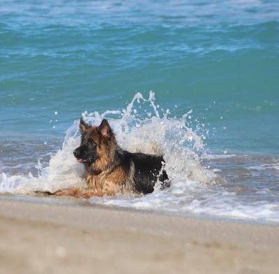 Sandee - Walton Rocks Beach