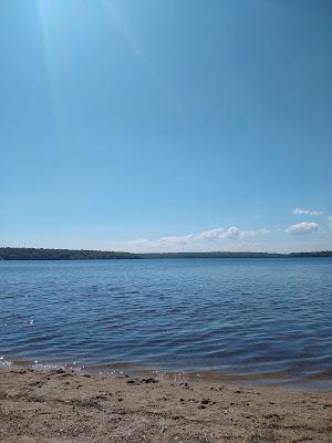 Sandee - Charlestown Beach