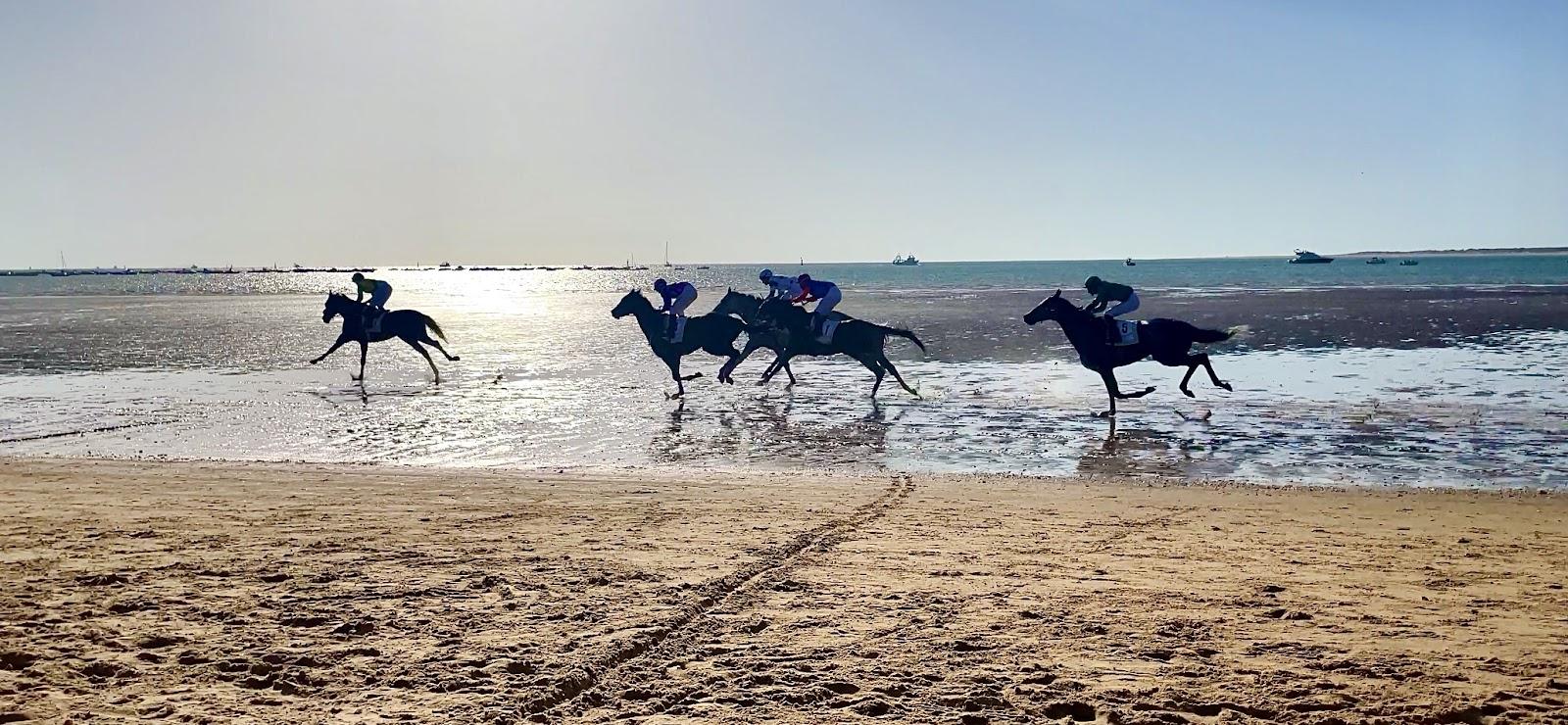 Sandee - Playa De La Calzada