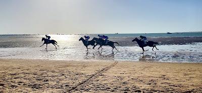 Sandee - Playa De La Calzada