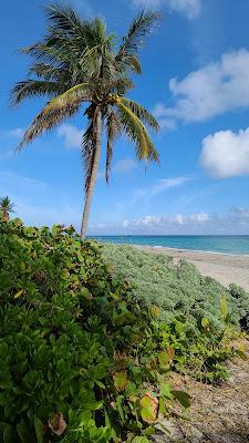 Sandee - Green Street Beach