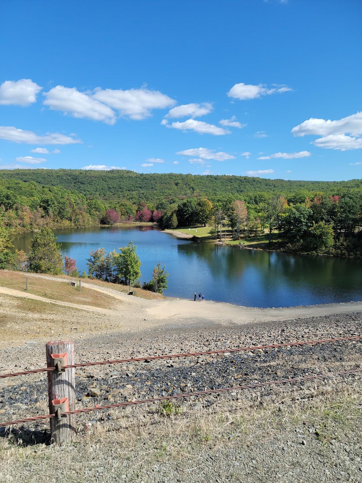 Sandee Aylesworth Park Photo