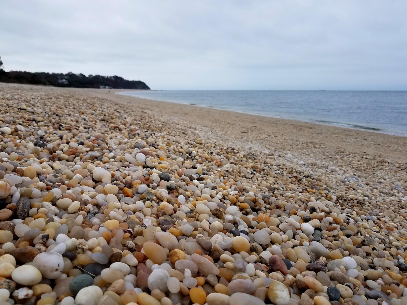 Sandee - Flax Pond Beach