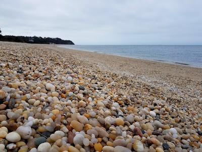 Sandee - Flax Pond Beach