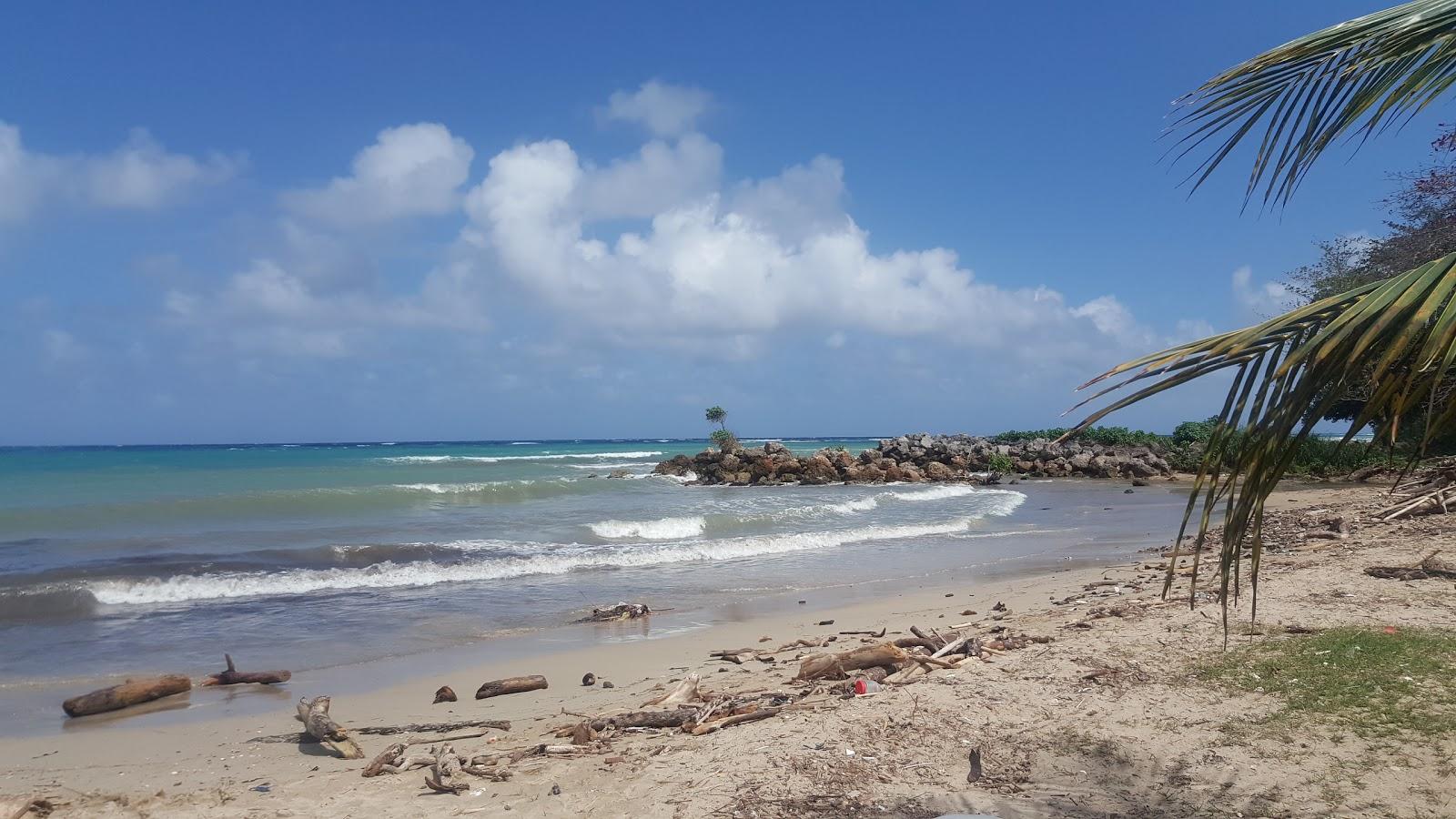 Sandee Roxborough Beach Photo