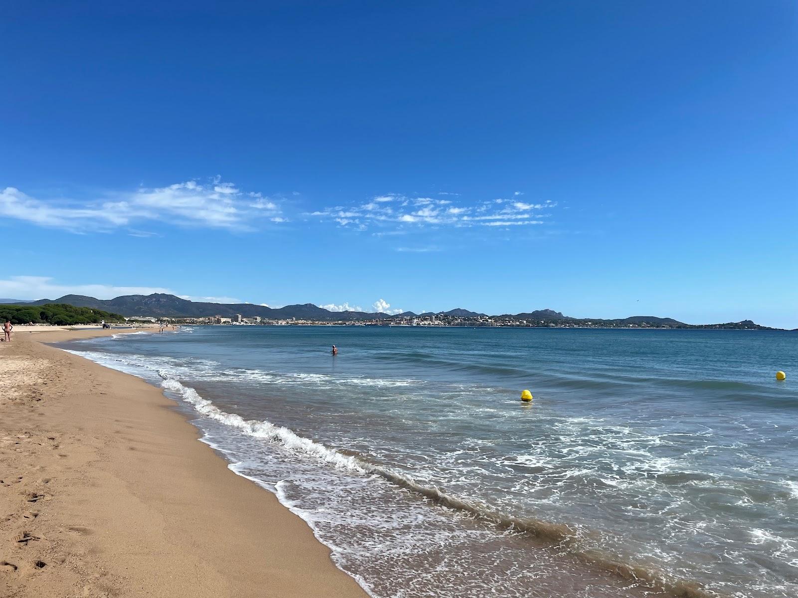 Sandee Beach Esclamandes
