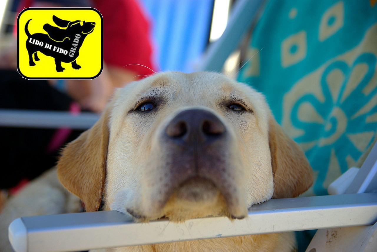 Sandee Beach Lido Di Fido