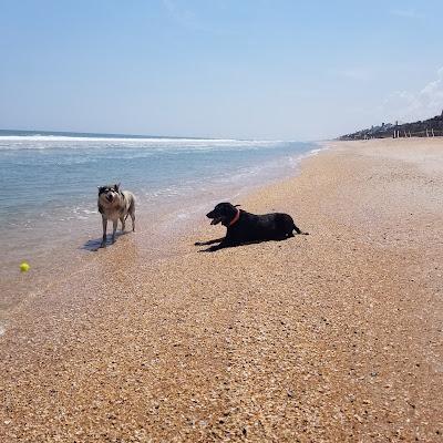 Sandee - South Ponte Vedra Beach Recreation Area