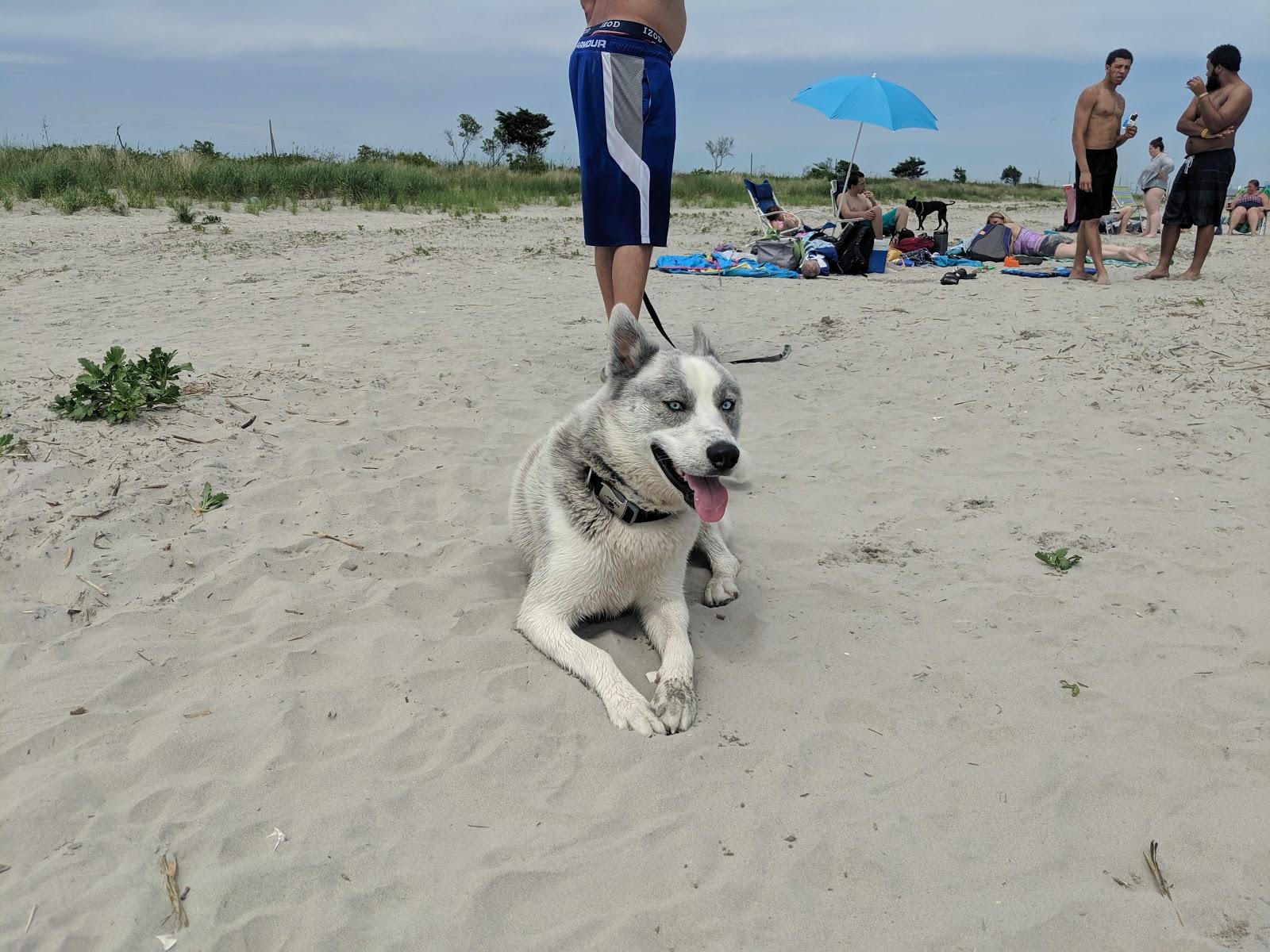 Sandee - Longport Dog Beach