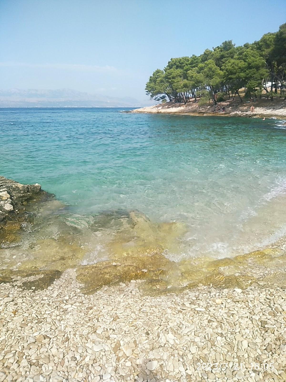 Sandee Beach Justitija