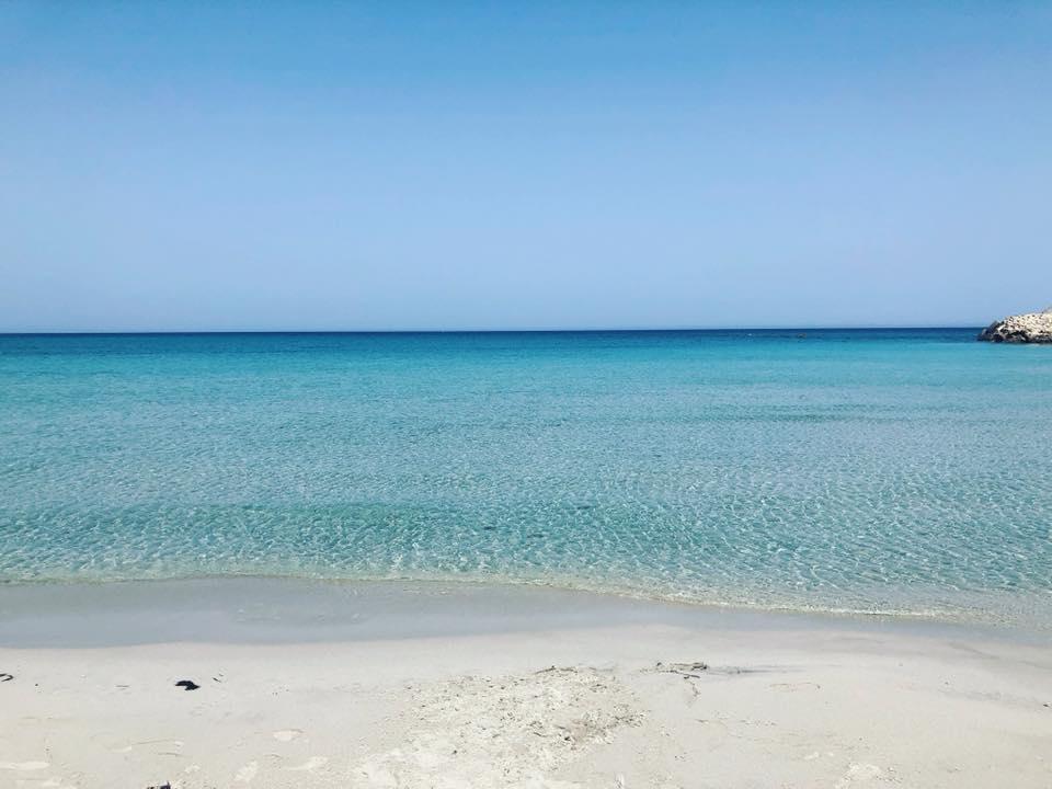 Sandee Eurogarden Beach