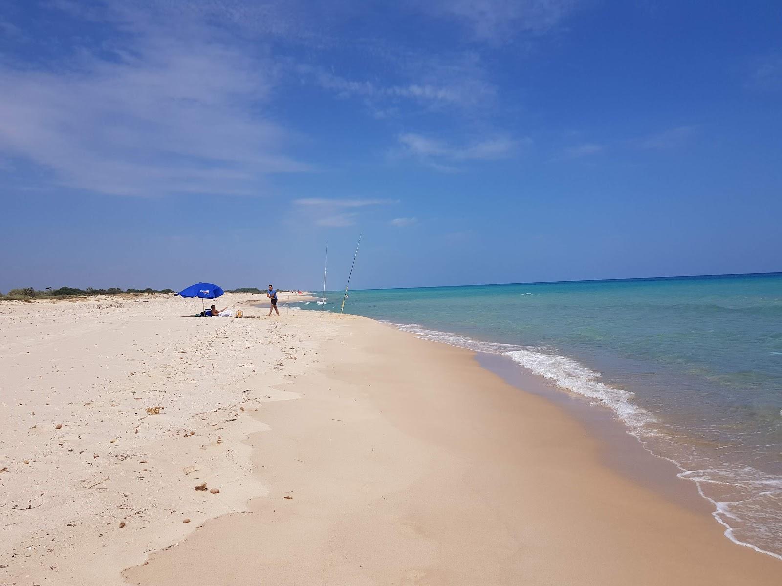 Sandee Flamingo Beach Tazarka