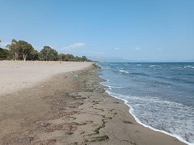 Sandee - Trinisa Beach