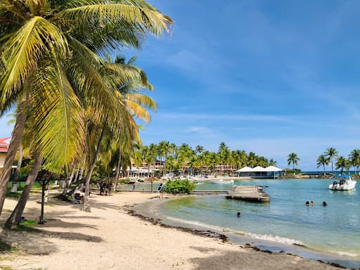 Sandee Plage De Bas Du Fort Photo