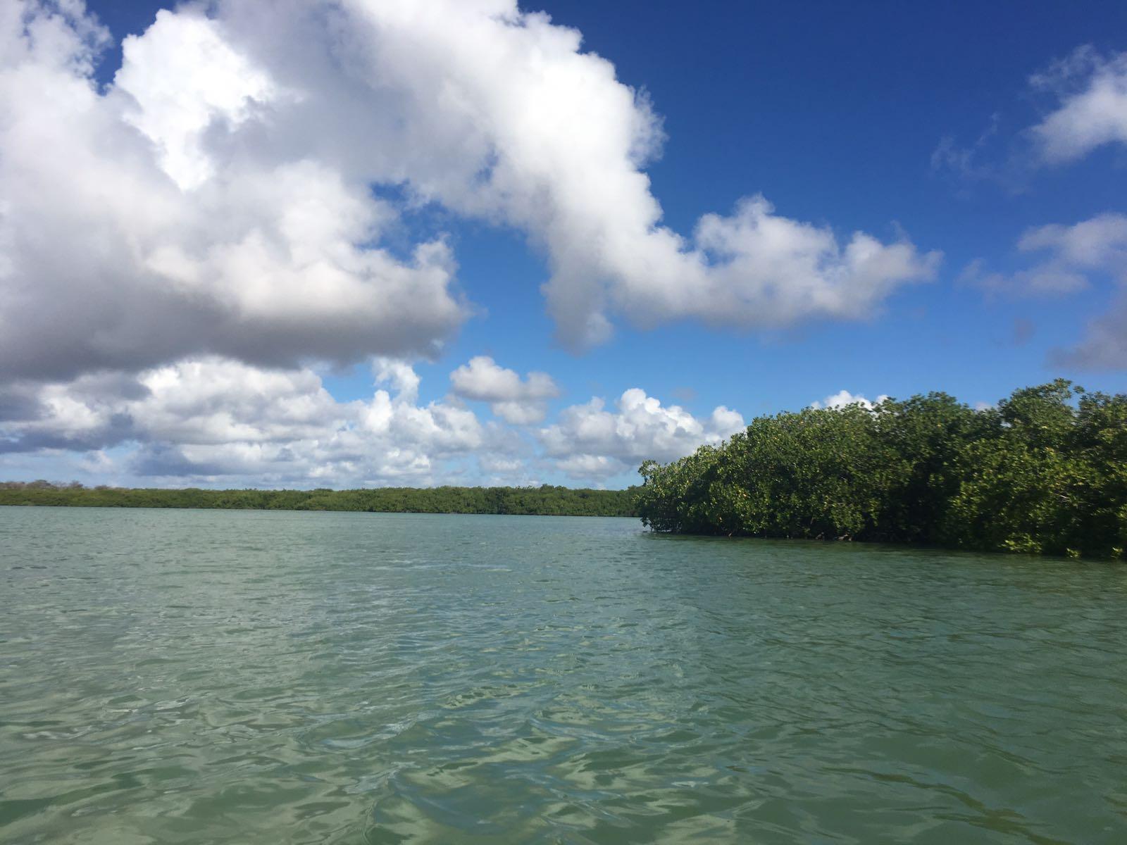 Sandee Lac Cai