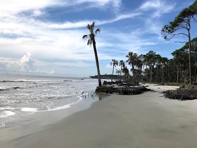 Sandee - Hunting Island State Park Beach