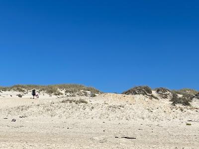 Sandee - Praia Do Fausto