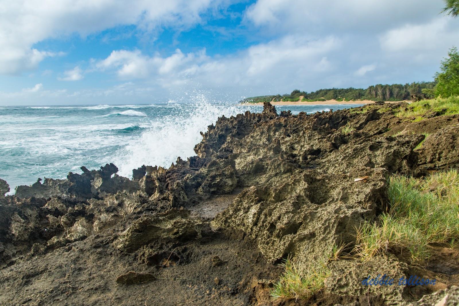 Sandee - Kawailoa Bay Beach