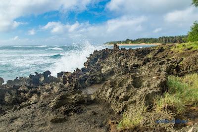 Sandee - Kawailoa Bay Beach