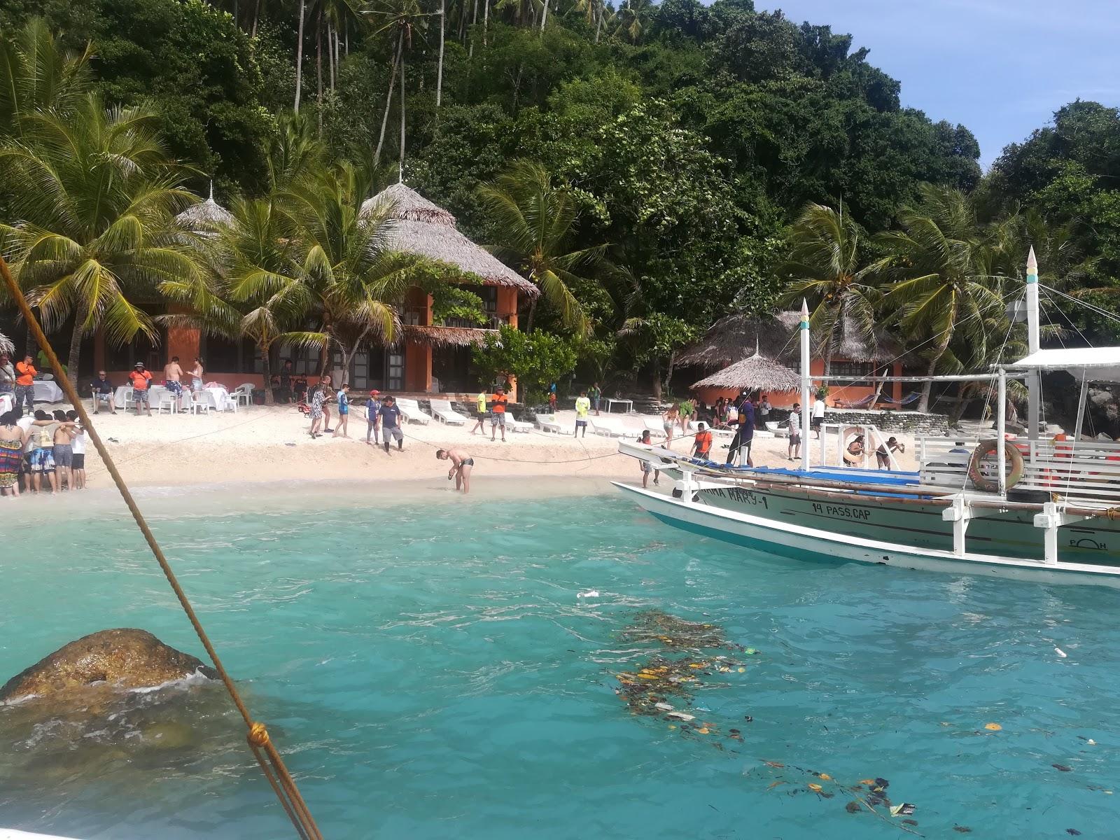 Sandee Apo Island Beach