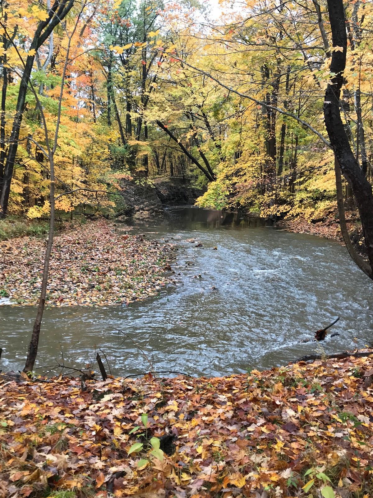 Sandee Chappel Creek