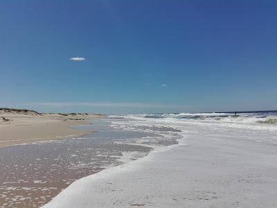 Sandee - Oceania Del Polonio Beach