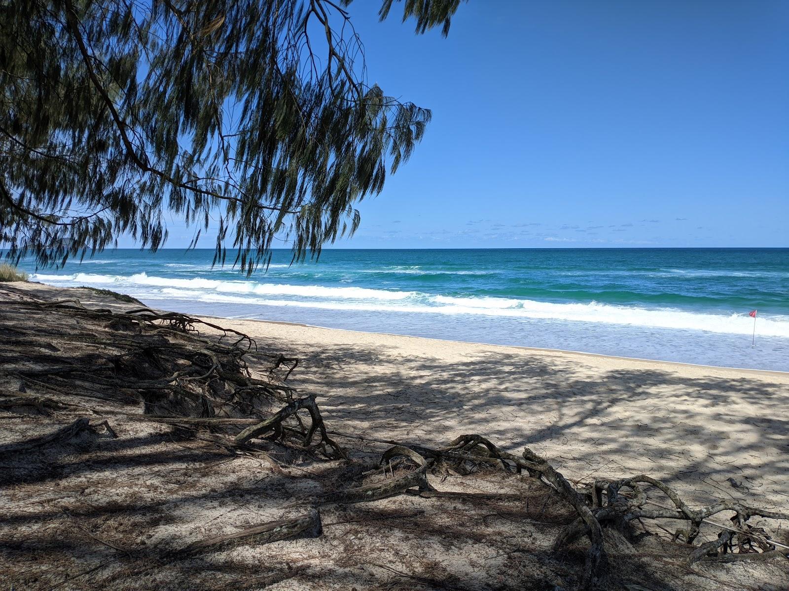 Sandee - Praia Do Mocambique