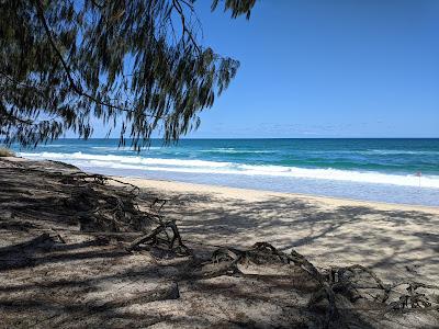 Sandee - Praia Do Mocambique