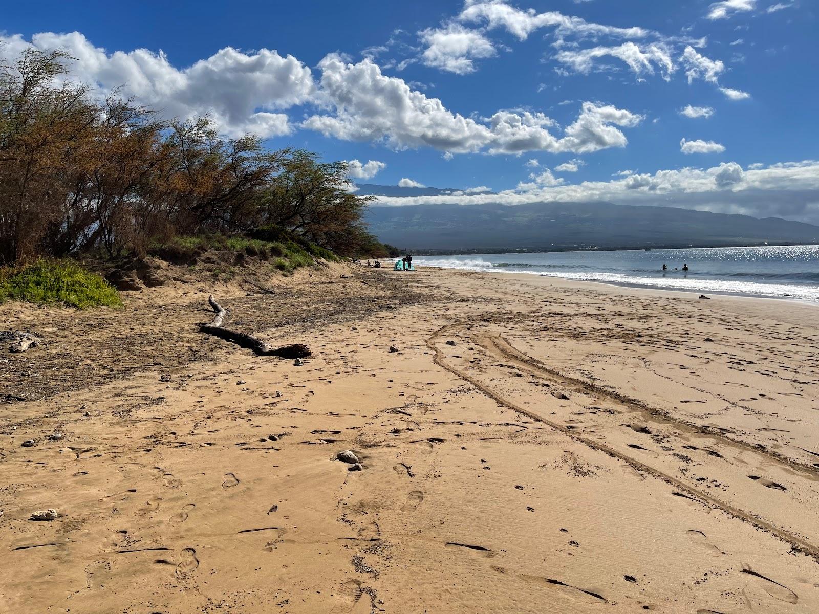 Sandee - Ma'Alaea Beach / Sugar Beach