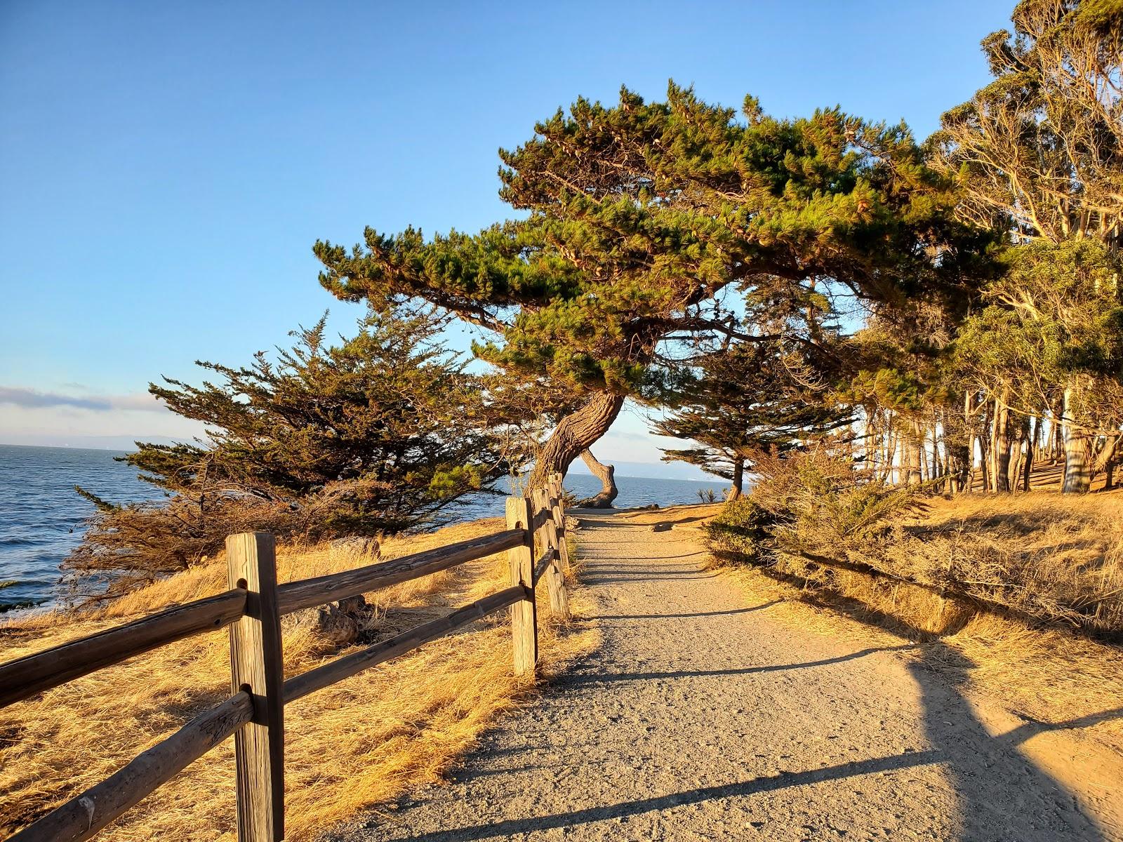 Sandee - Coyote Point Beach