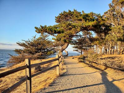 Sandee - Coyote Point Beach