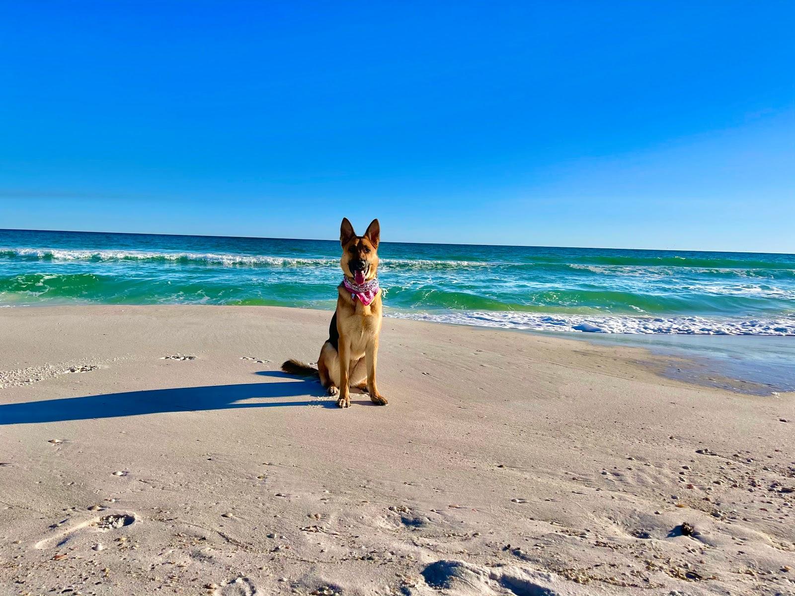 Sandee - Pensacola Dog Beach West