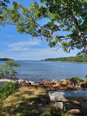 Sandee - Cushman's Beach