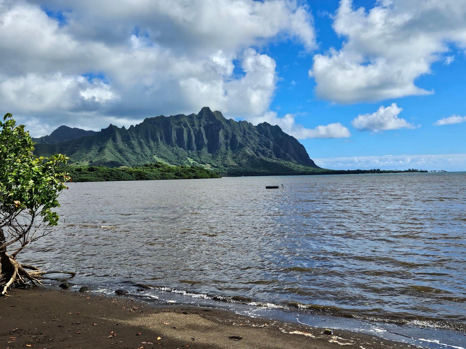 Sandee - Waiahole Beach Park