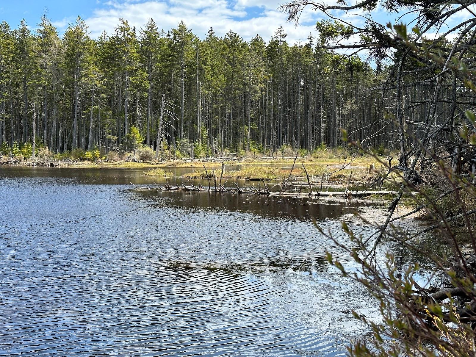 Sandee - Martin Point Trail