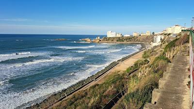 Sandee - Basques Beach