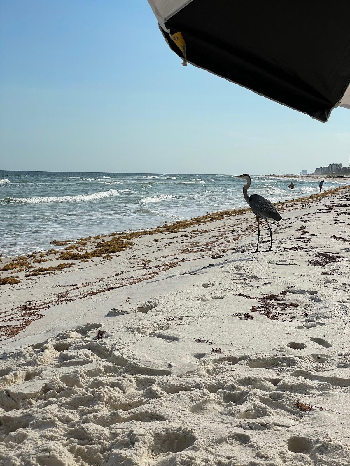 Sandee - West Perdido Key Beach