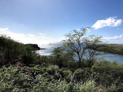 Sandee - Wahi-Awa Beach