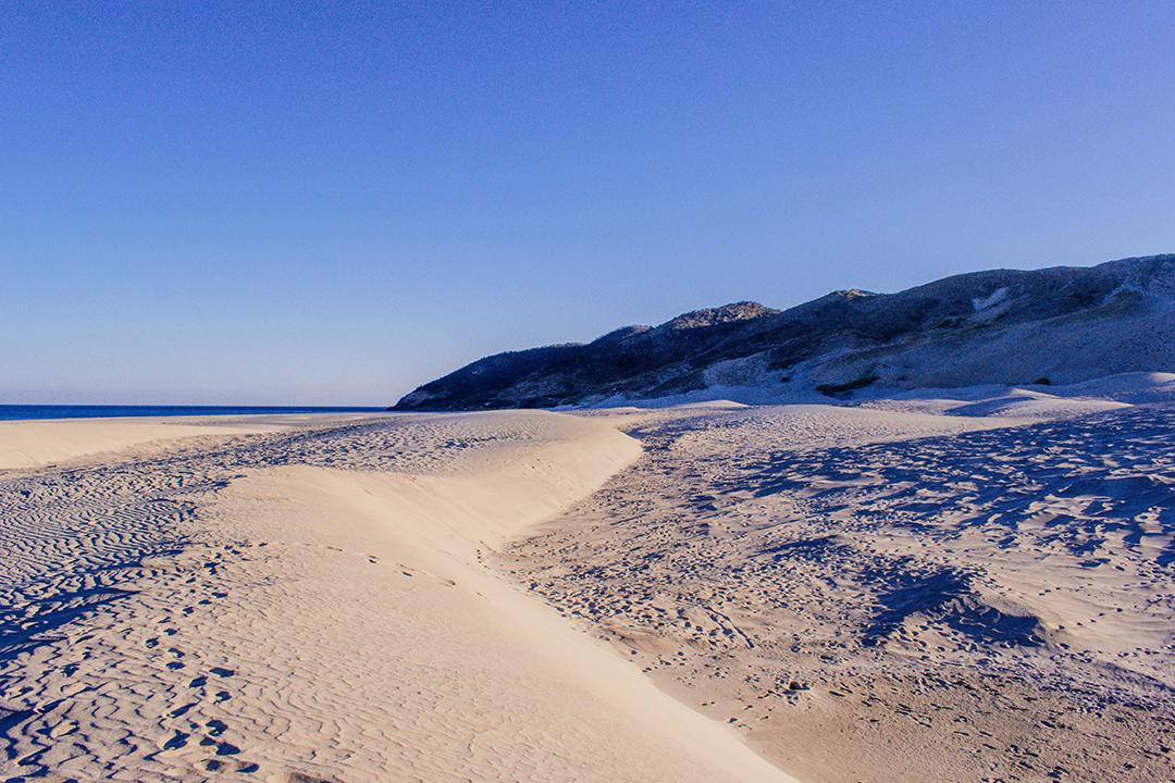 Sandee Dunas Costeras Punta Chipehua