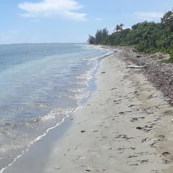Sandee - Playa Mejia
