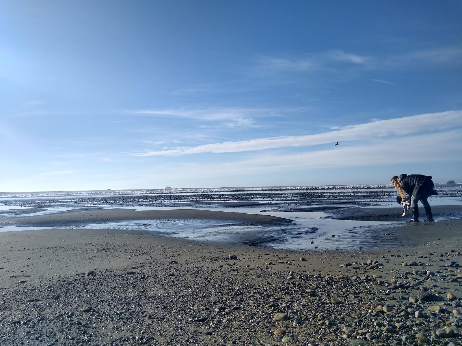 Sandee - Crissey Field State Recreation Site