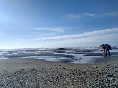 Sandee - Crissey Field State Recreation Site