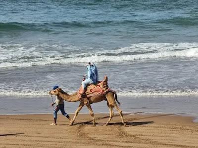 Sandee - Legzira Beach