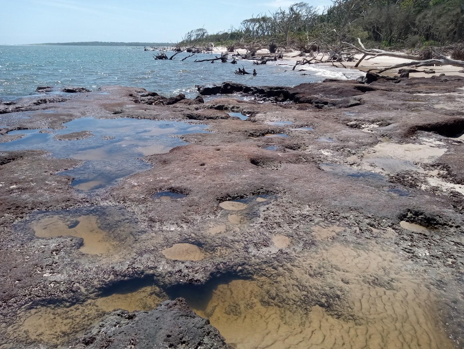 Sandee - Big Talbot Island State Park