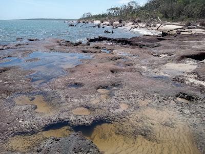 Sandee - Big Talbot Island State Park